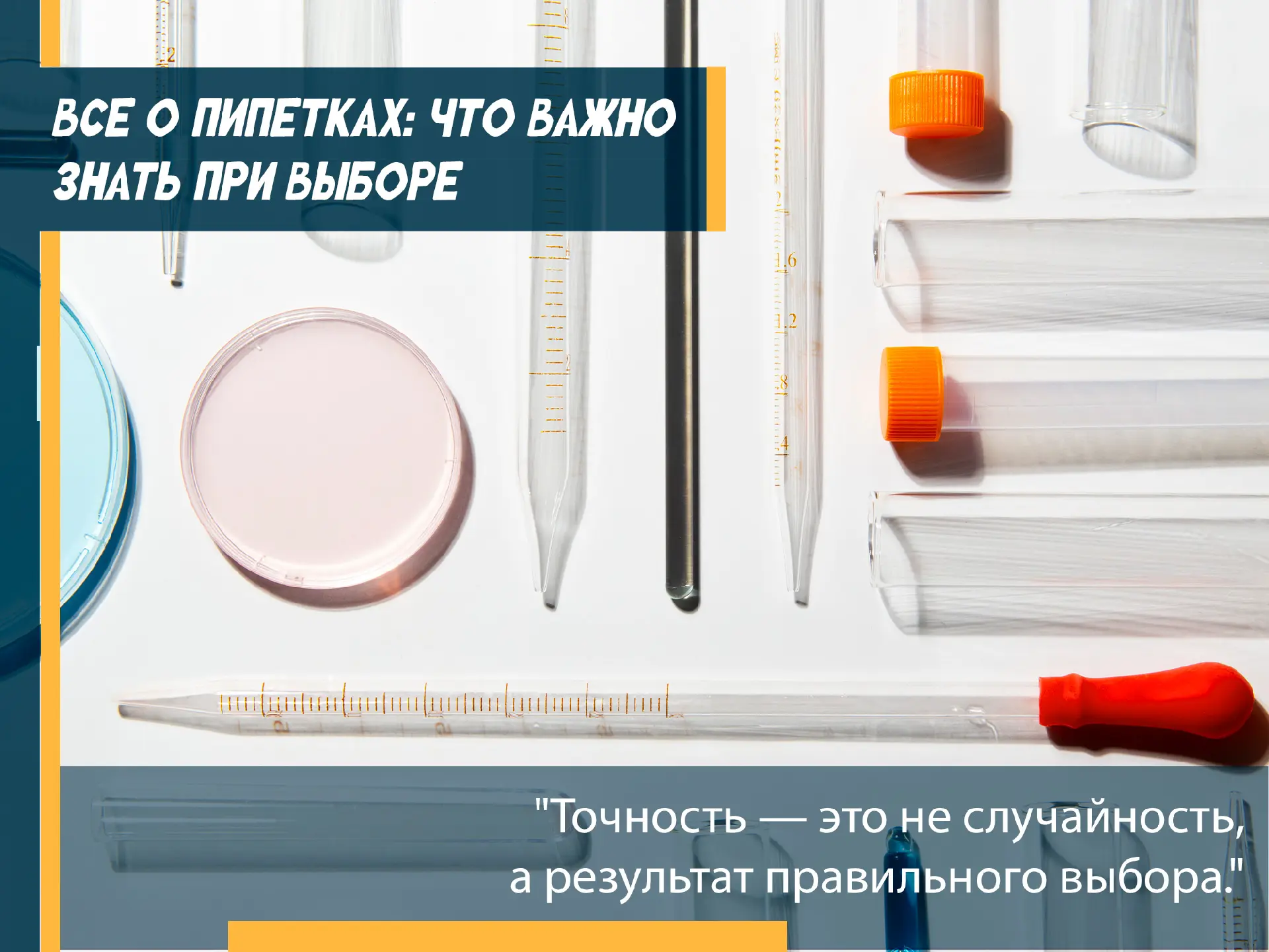 π§ͺ ΠΡΠ΅ ΠΎ ΠΏΠΈΠΏΠ΅ΡΠΊΠ°Ρ
: ΡΡΠΎ Π²Π°ΠΆΠ½ΠΎ Π·Π½Π°ΡΡ ΠΏΡΠΈ Π²ΡΠ±ΠΎΡΠ΅